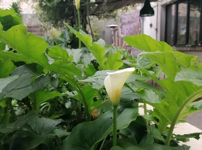 アパート Zoralie アグド